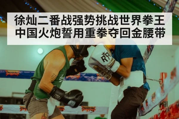 徐灿二番战强势挑战世界拳王 中国火炮誓用重拳夺回金腰带